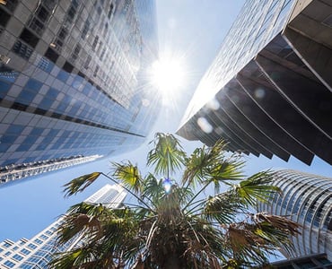 Leisha de Aboitiz talks about new strata renewal process