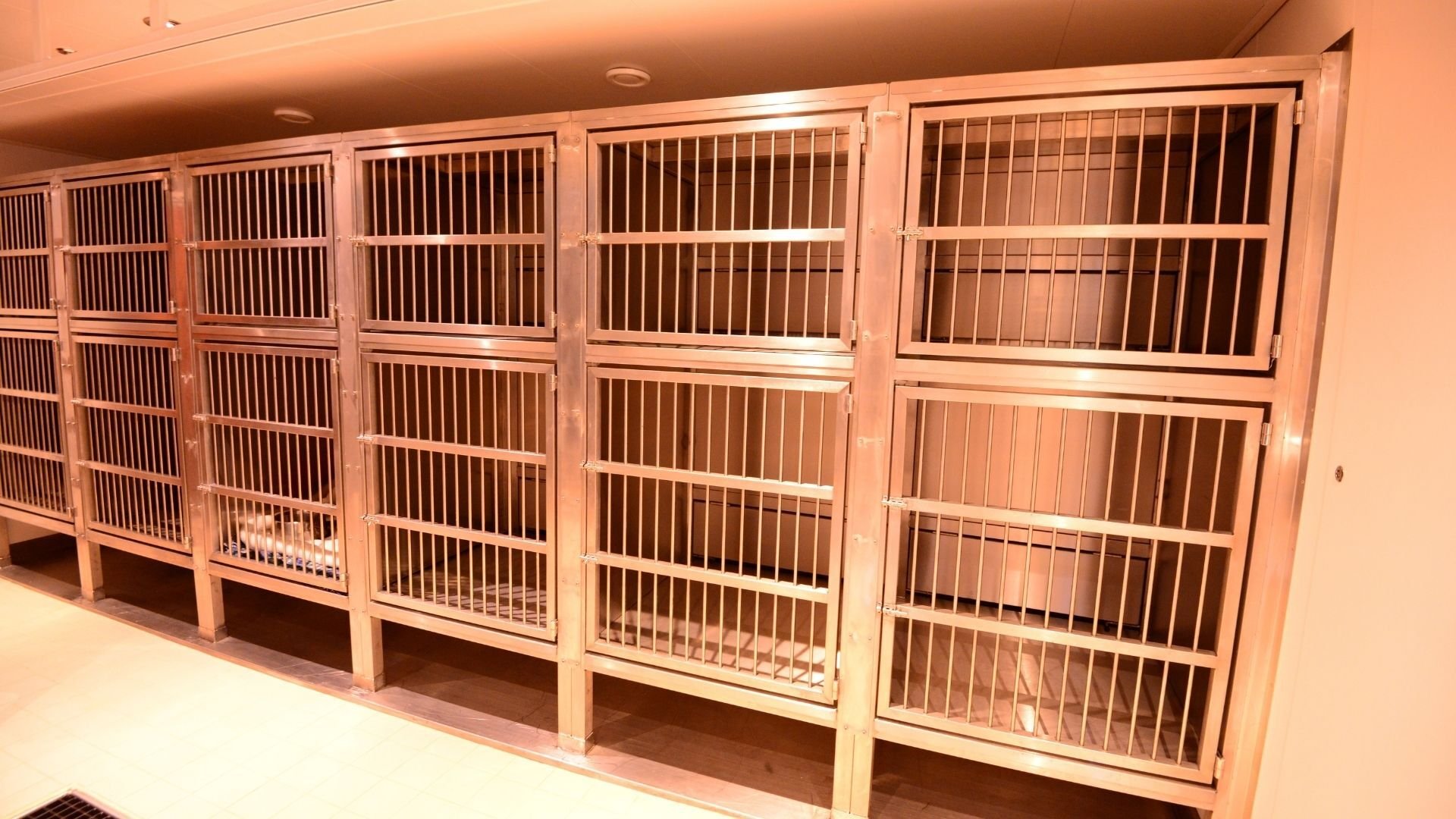 Council kennels