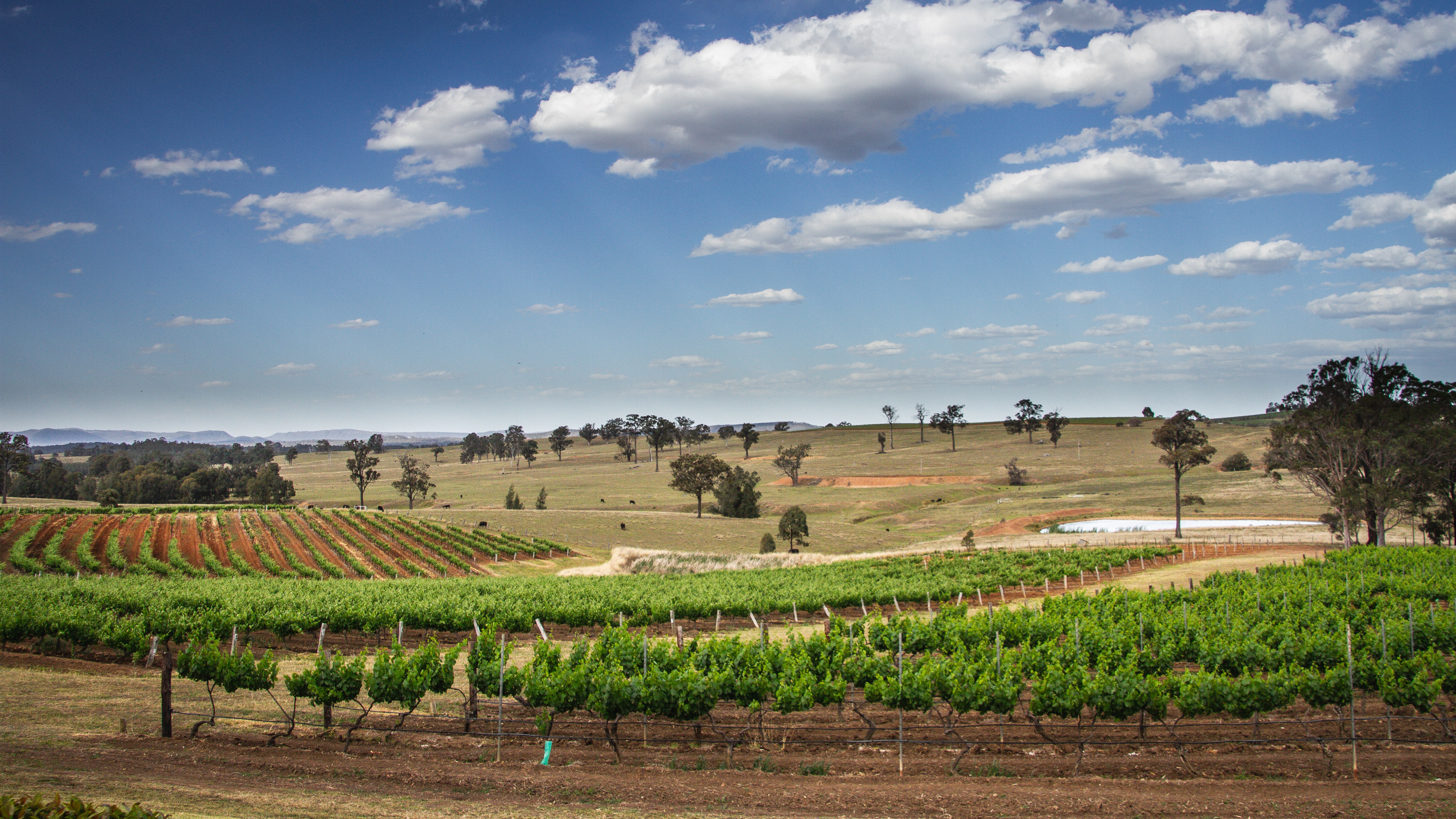 Hunter Valley