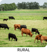 Dairy Icon Revaluations