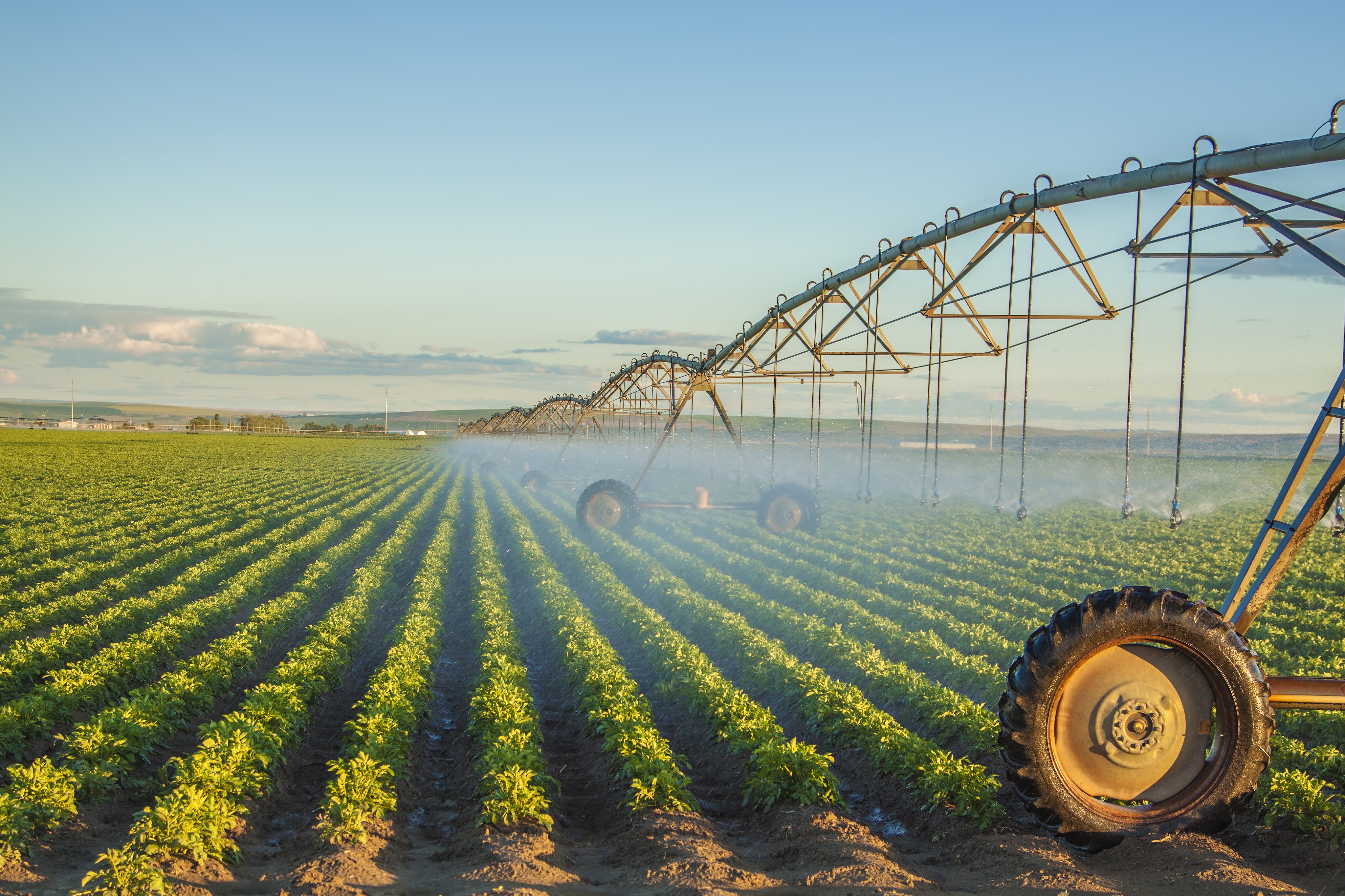Irrigation_Farming_shutterstock_142601641