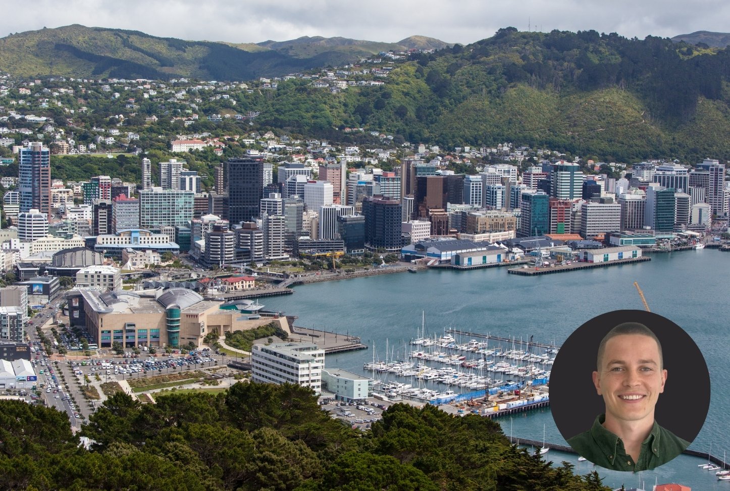 Jack Whiteman - Wellington city and Harbour