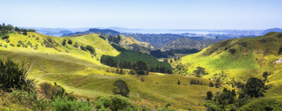 Matamata-Piako District Council 2026 Revaluation Forms