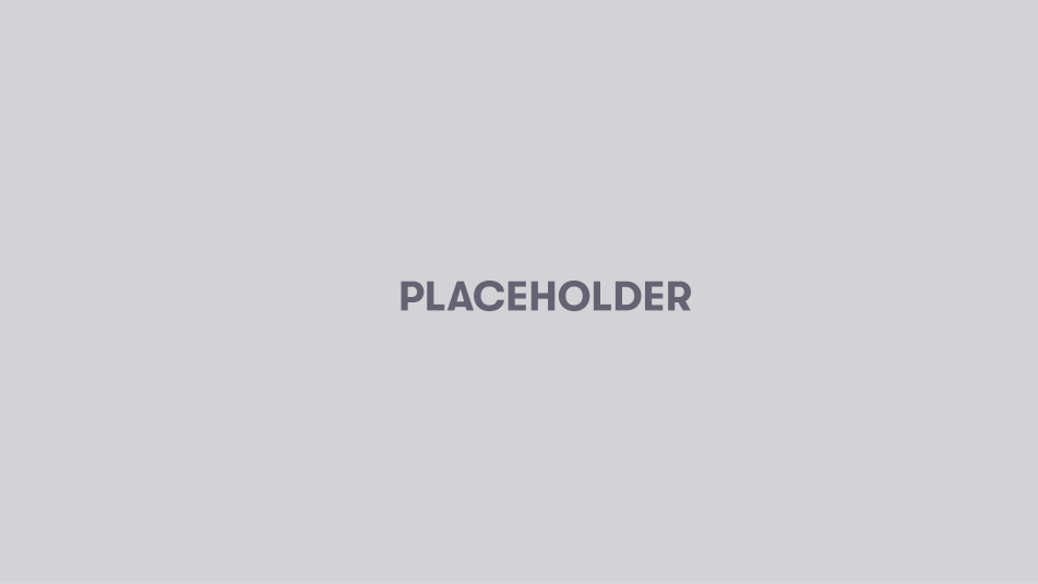 Placeholder for Article